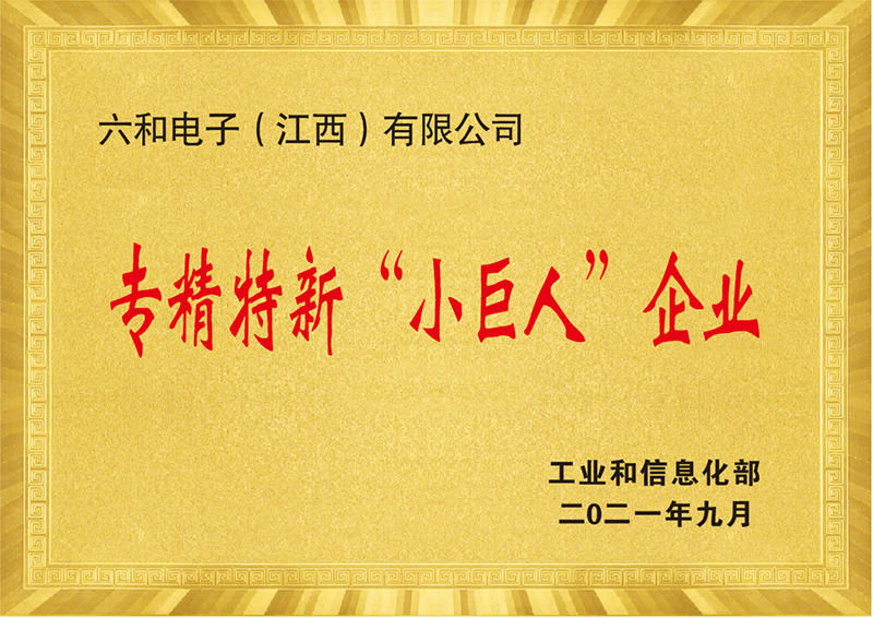 2021專精特新小巨人